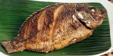 https://www.maggi.ph/sites/default/files/styles/ln_search_recipe_resultdesktop/public/srh_recipes/55c31e0994061c19912e468538c8043a.jpg?h=98ff4a69&itok=3dCwuWrI